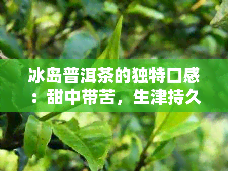 冰岛普洱茶的独特口感：甜中带苦，生津持久，花香独树一帜