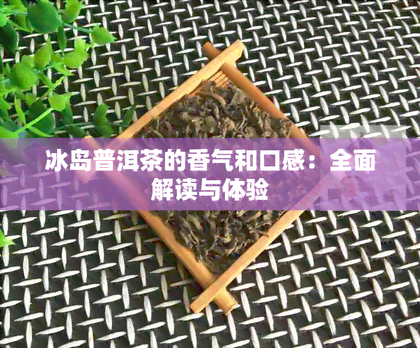 冰岛普洱茶的香气和口感：全面解读与体验