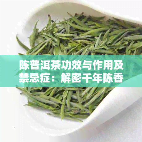 陈普洱茶功效与作用及禁忌症：解密千年陈香的健奥秘