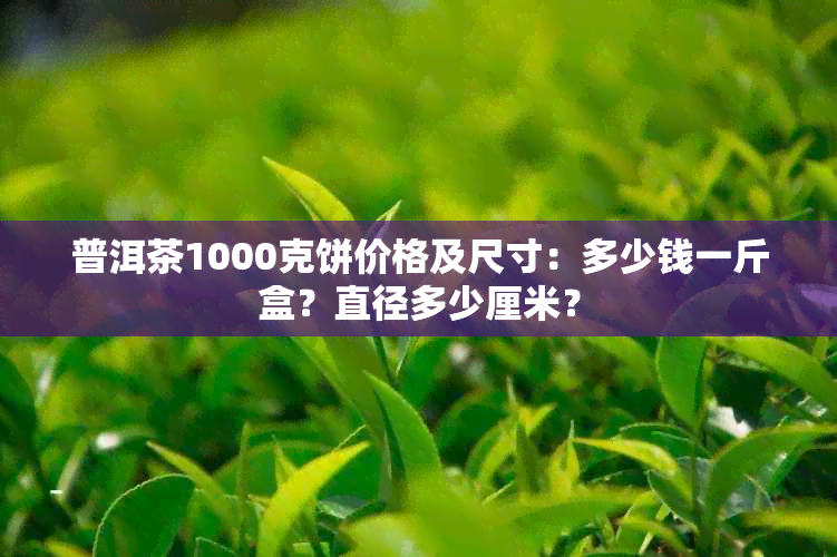 普洱茶1000克饼价格及尺寸：多少钱一斤盒？直径多少厘米？