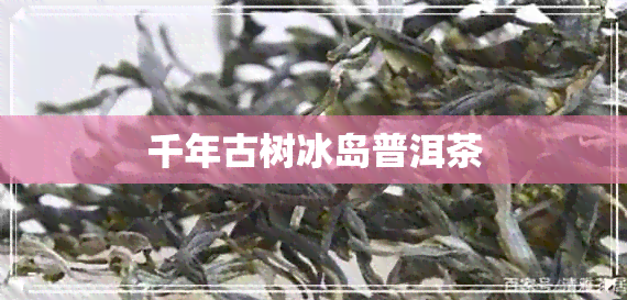 千年古树冰岛普洱茶