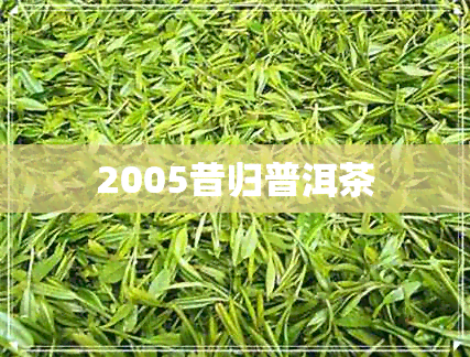 2005昔归普洱茶