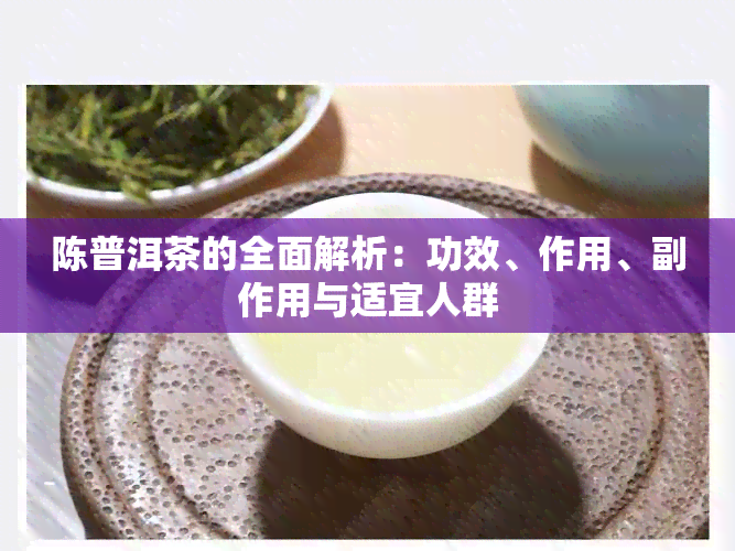 陈普洱茶的全面解析：功效、作用、副作用与适宜人群