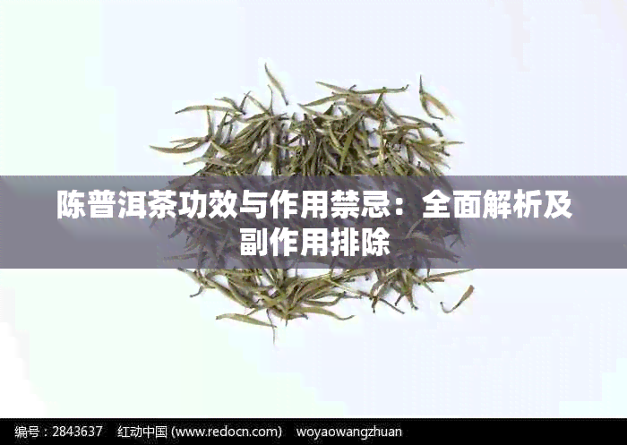 陈普洱茶功效与作用禁忌：全面解析及副作用排除