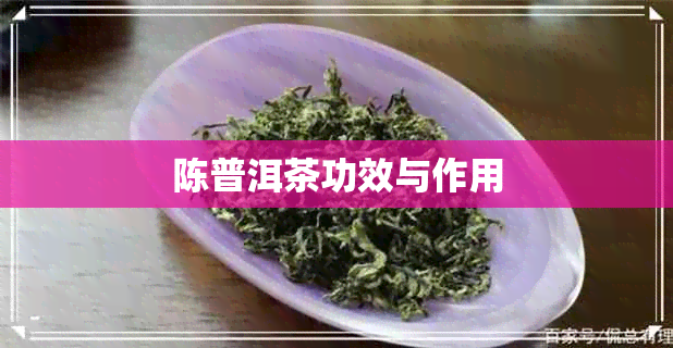 陈普洱茶功效与作用