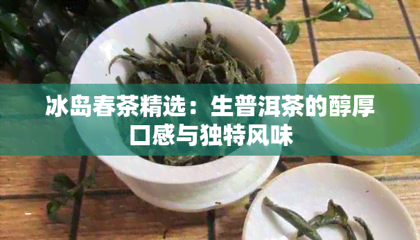 冰岛春茶精选：生普洱茶的醇厚口感与独特风味