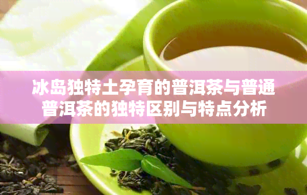 冰岛独特土孕育的普洱茶与普通普洱茶的独特区别与特点分析