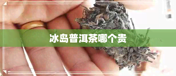 冰岛普洱茶哪个贵