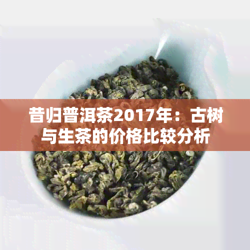 昔归普洱茶2017年：古树与生茶的价格比较分析