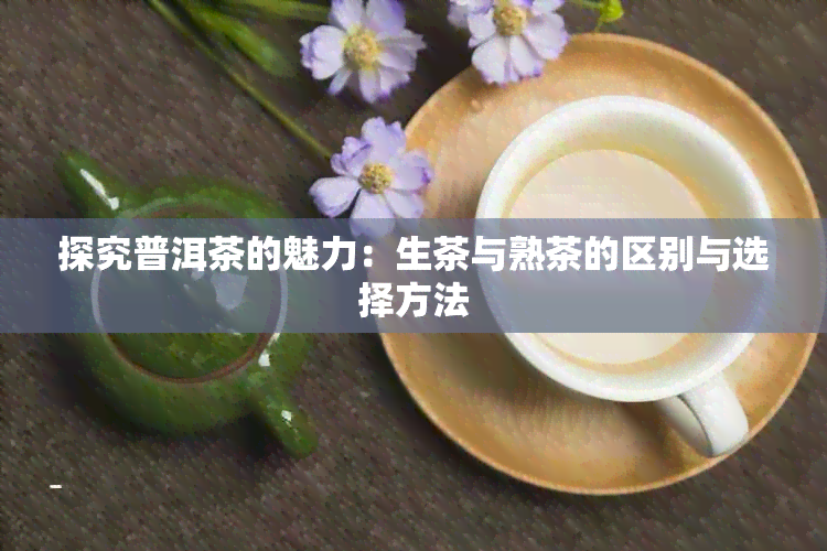 探究普洱茶的魅力：生茶与熟茶的区别与选择方法