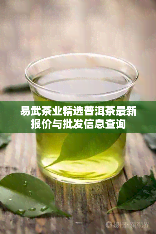 易武茶业精选普洱茶最新报价与批发信息查询