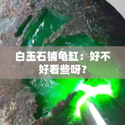 白玉石铺龟缸：好不好看些呀？