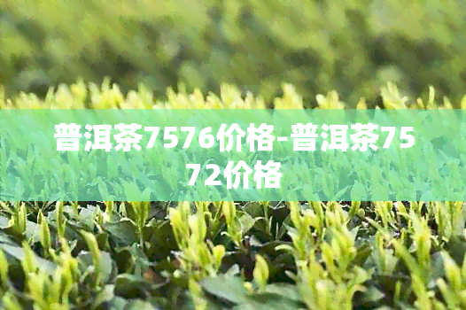 普洱茶7576价格-普洱茶7572价格