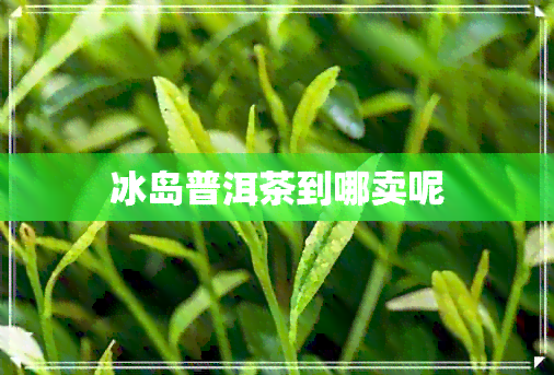 冰岛普洱茶到哪卖呢