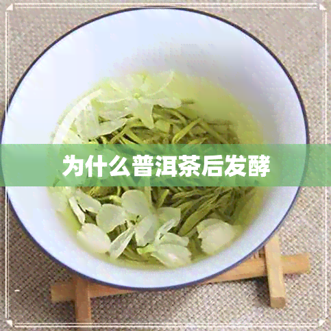 为什么普洱茶后发酵