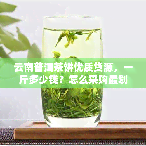 云南普洱茶饼优质货源，一斤多少钱？怎么采购最划算？