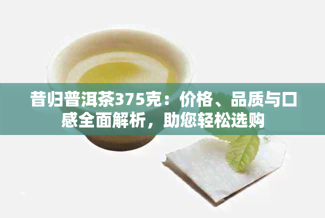 昔归普洱茶375克：价格、品质与口感全面解析，助您轻松选购