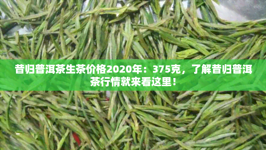 昔归普洱茶生茶价格2020年：375克，了解昔归普洱茶行情就来看这里！