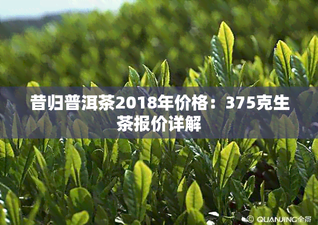 昔归普洱茶2018年价格：375克生茶报价详解