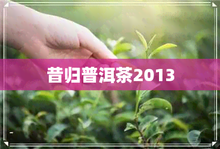 昔归普洱茶2013