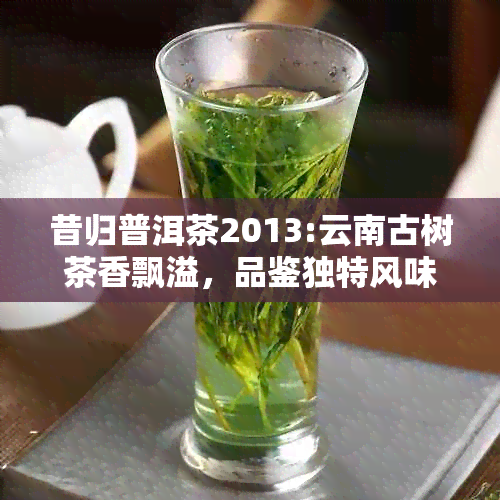 昔归普洱茶2013:云南古树茶香飘溢，品鉴独特风味