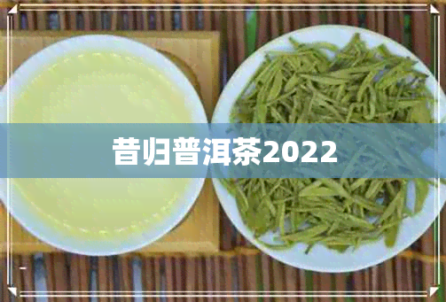 昔归普洱茶2022