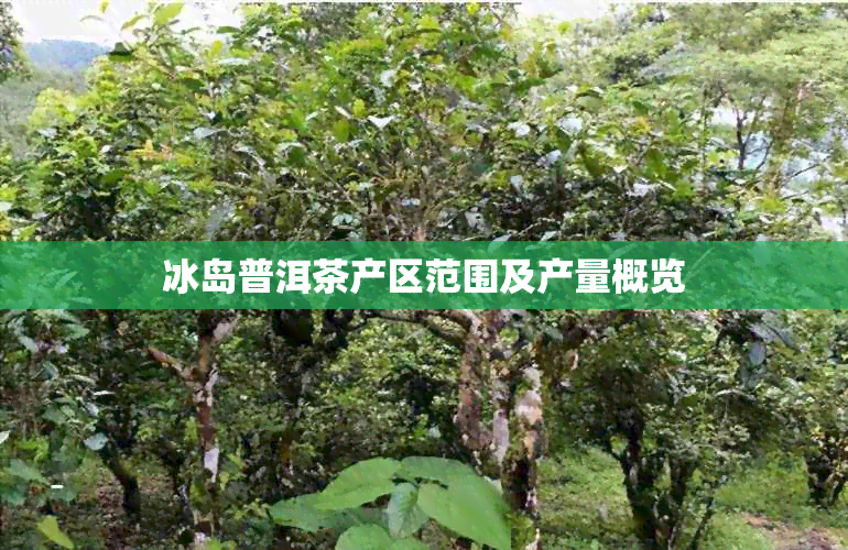 冰岛普洱茶产区范围及产量概览