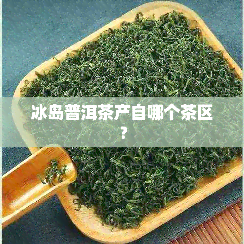 冰岛普洱茶产自哪个茶区？