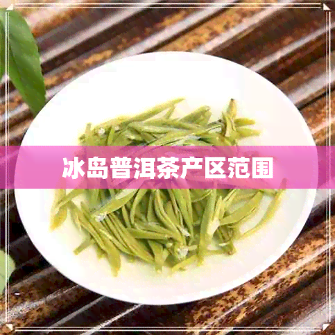 冰岛普洱茶产区范围