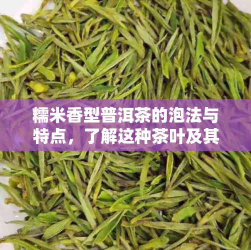 糯米香型普洱茶的泡法与特点，了解这种茶叶及其制作工艺。