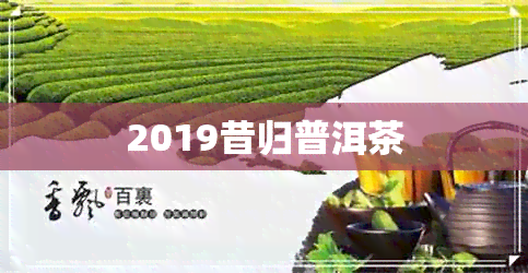 2019昔归普洱茶