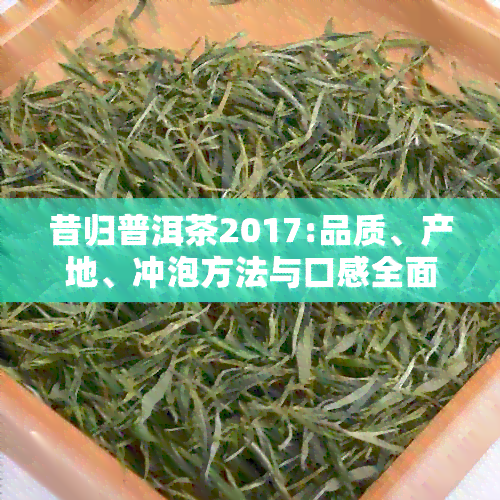 昔归普洱茶2017:品质、产地、冲泡方法与口感全面解析