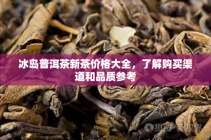 冰岛普洱茶新茶价格大全，了解购买渠道和品质参考