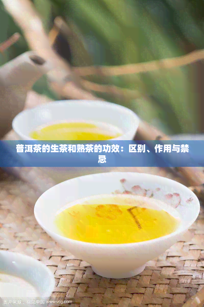 普洱茶的生茶和熟茶的功效：区别、作用与禁忌