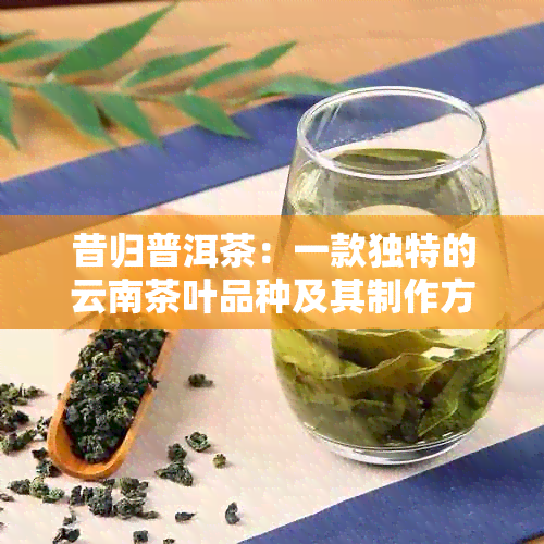 昔归普洱茶：一款独特的云南茶叶品种及其制作方法和功效解析