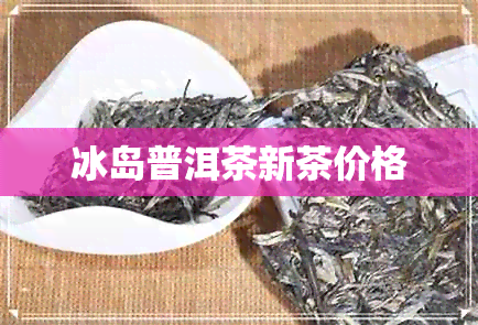 冰岛普洱茶新茶价格