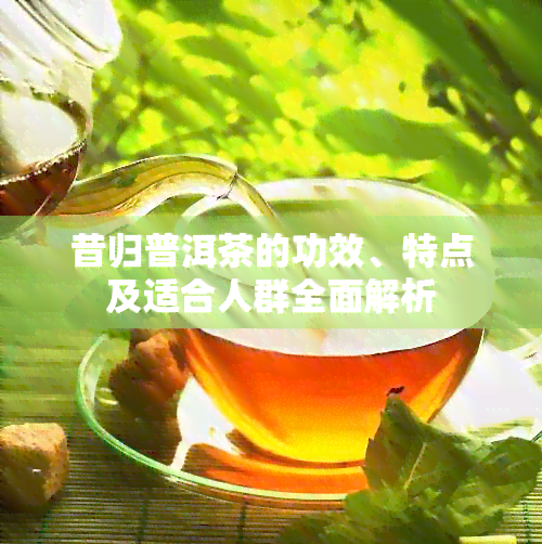 昔归普洱茶的功效、特点及适合人群全面解析