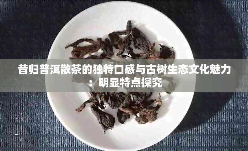 昔归普洱散茶的独特口感与古树生态文化魅力：明显特点探究