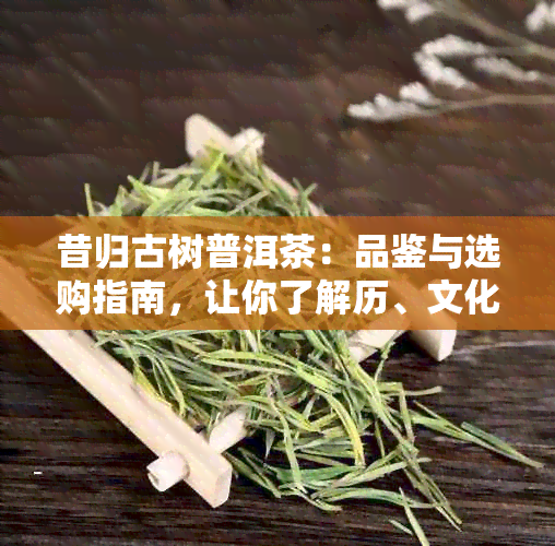 昔归古树普洱茶：品鉴与选购指南，让你了解历、文化和口感的完美结合