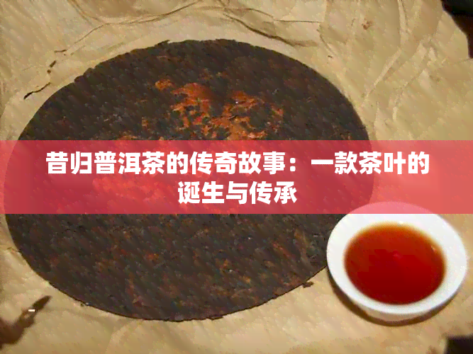 昔归普洱茶的传奇故事：一款茶叶的诞生与传承