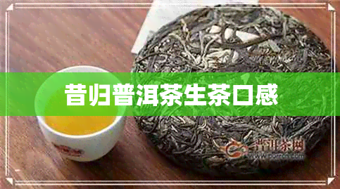 昔归普洱茶生茶口感