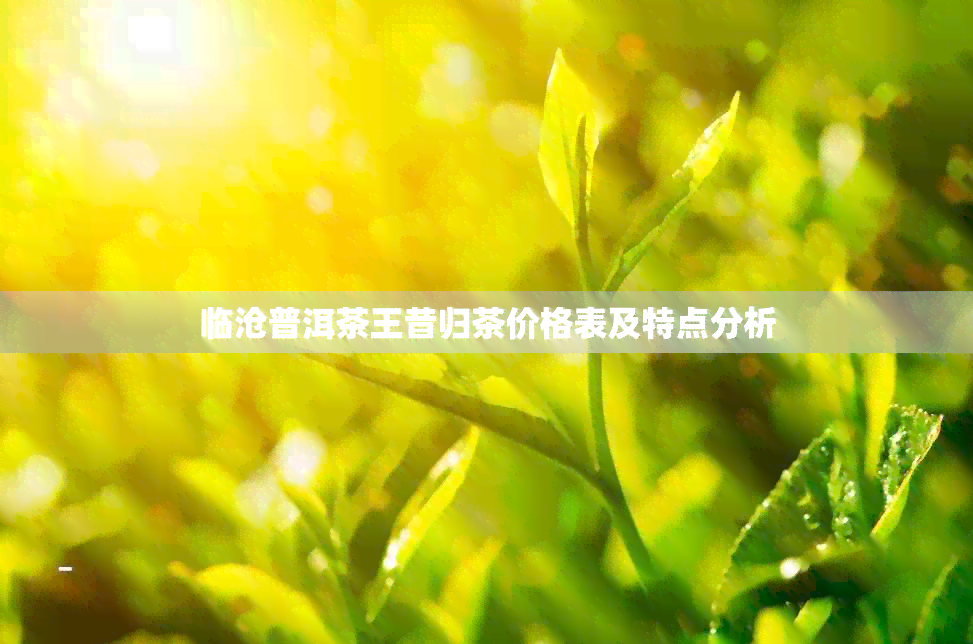 临沧普洱茶王昔归茶价格表及特点分析