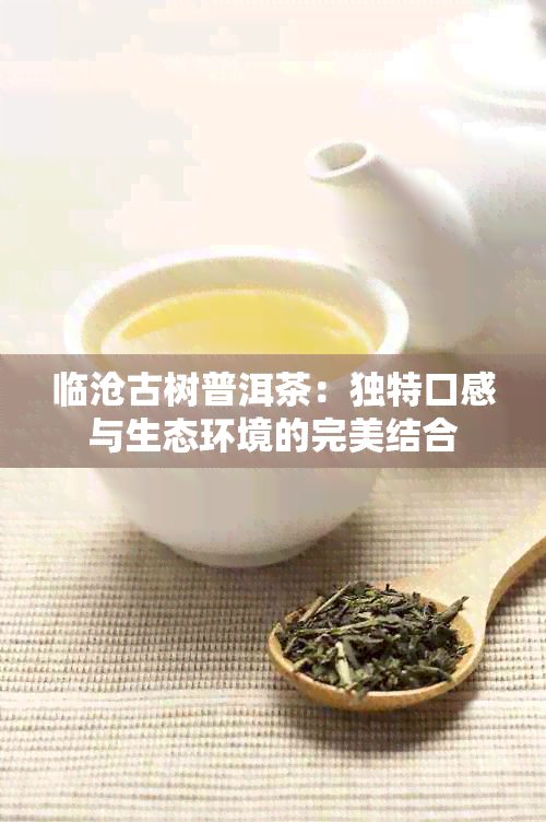 临沧古树普洱茶：独特口感与生态环境的完美结合