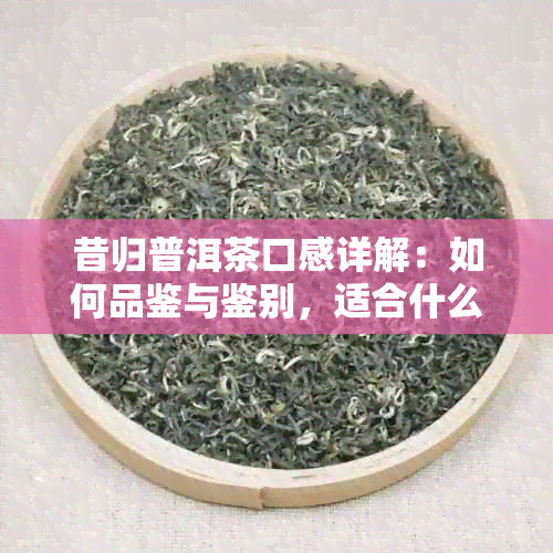 昔归普洱茶口感详解：如何品鉴与鉴别，适合什么人群，以及选购和保存建议