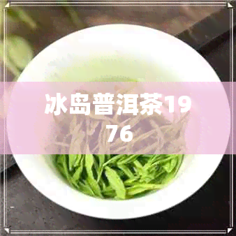 冰岛普洱茶1976