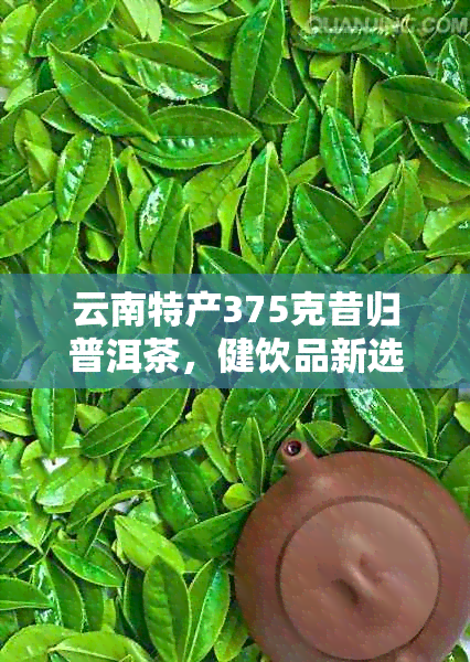 云南特产375克昔归普洱茶，健饮品新选择，商城批发价