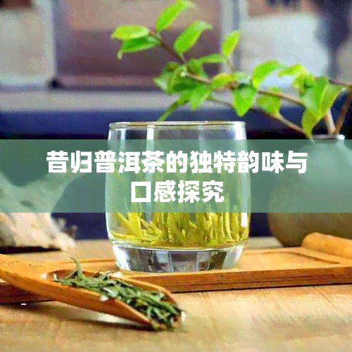 昔归普洱茶的独特韵味与口感探究