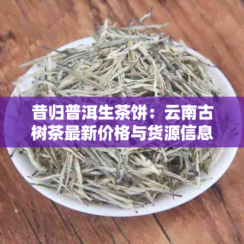 昔归普洱生茶饼：云南古树茶最新价格与货源信息，批发报价