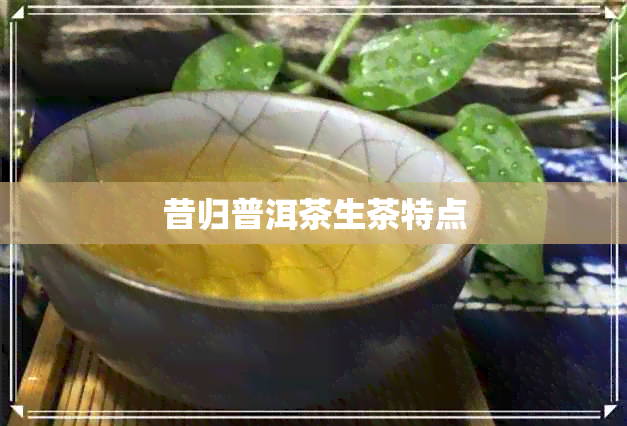 昔归普洱茶生茶特点