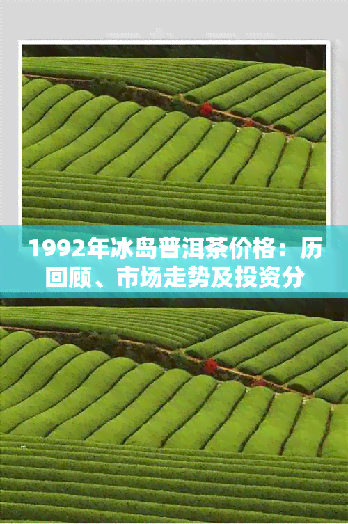 1992年冰岛普洱茶价格：历回顾、市场走势及投资分析